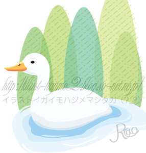 Duck02.jpg
